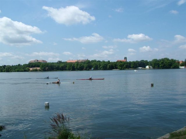 DSCF7191 (Medium)